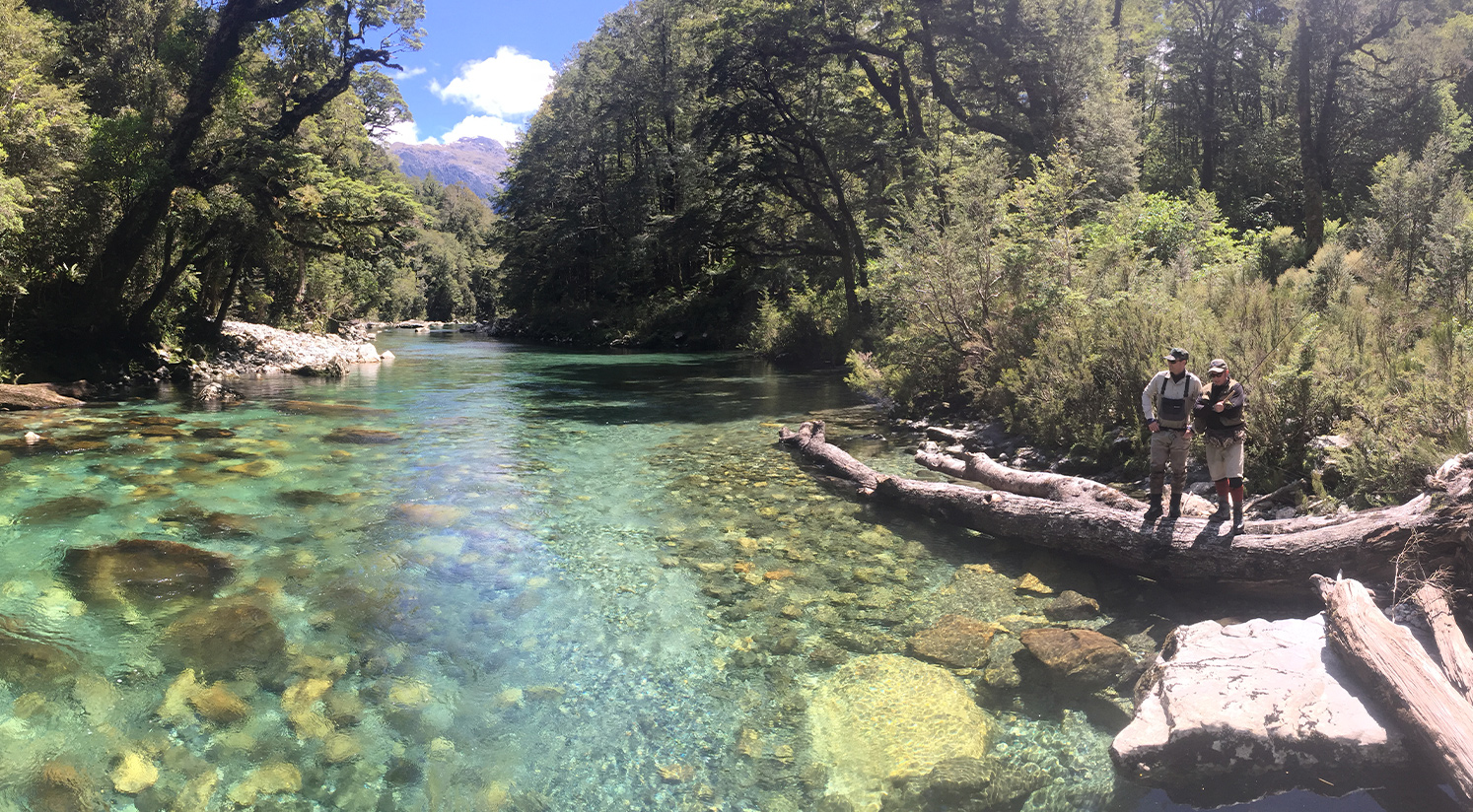 Fly fishing with Black NZ
